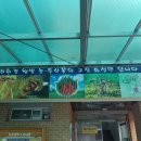 화성면사무소 이미지