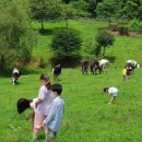 지정농장 이미지