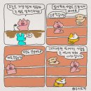 인뿌삐의 요양일기 ִ ࣪𖤐