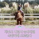 인화목장 | 제주 어린이 승마체험 목장카페 드르쿰다 동쪽 가볼만한곳