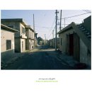 용호농장 이미지