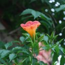 바닷가횟집 - 서천군 춘장대로151번길 35 | 바닷가횟집