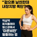 안암헬스클럽 | [강남PT/역삼PT/강남헬스]겉으론 날씬한데 내장지방 폭탄? 역삼동 헬스장 피치플레이에서 ‘마른비만...