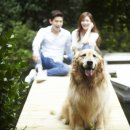 엘헤어스튜디오 이미지