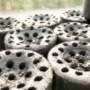 세한농장 이미지