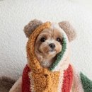 스테이더담 밀양 네이버블로그