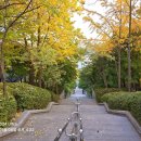 희망대테니스장 이미지