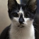 (주)스카이엠 - 강서구 | (주)스카이엠
