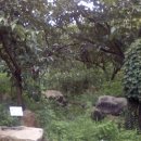 선바우농장 이미지