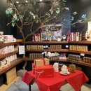 아델라7 서면부전점 이미지