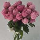 서리풀3길 24 이미지