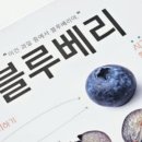휘안이네