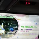 음악분수대 | 진주유등축제 후기｜셔틀버스 타고 본 음악분수대 &amp; 유등 야경
