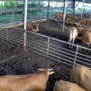 서당골축산 이미지