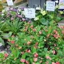 산수화로1길 이미지