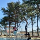 아야진초등학교 | 작은학교