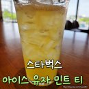 스타벅스 아이스 유자 민트 티 후기 및 영양정보