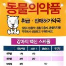 분당우리약국 이미지