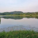 주식회사 케이비산업 네이버블로그