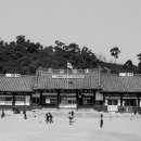 문의초등학교 이미지