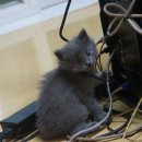 박주란헤어 이미지