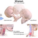 예천경희한의원 이미지