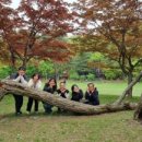 가평잣나무숲하우스 이미지