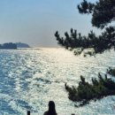 닭섬목장 이미지