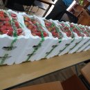 차진열농장 이미지