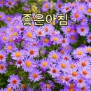 화요일 이미지