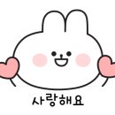 워시브로 이미지