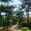 청계중앙공원 1 이미지