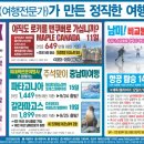 정성투어앤골프