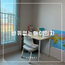 어린이의자 초등학생의자 바퀴없는 제미니의자 내돈내산 후기