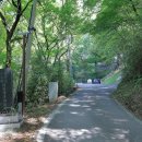함안 장춘사 석조석가여래삼존좌상 | 함안군 - 함안 장춘사 오층석탑, 함안 장춘사 대웅전, 함안 영동리 회화나무, 함안 의학서당, 함안 광심정