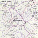 행현 Daum카페