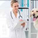 위례S동물의료센터 이미지