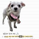 에덴주단 - 익산시 인북로10길 5 | 에덴주단