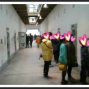 이리서초등학교 이미지