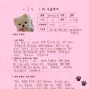 1493 | [#1493] 루이(양측 슬개골탈구 G3, G4 / 좌측 전방십자인대)의 수술후기