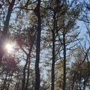 온곡초교 이미지