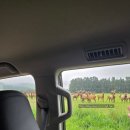 늘푸른산업㈜ 이미지