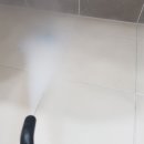 수성다듬이 이미지