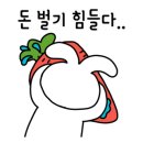 써니네정육점