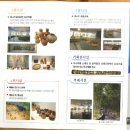 한국대나무 이미지