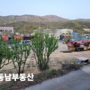 소석농장 네이버블로그