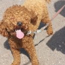 살레시오중학교 이미지