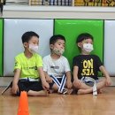 VIP태권도 이미지