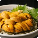 산지직송 포항 보라 성게알 우니 100g 생물 – 바다의 황금, 신선함 그대로 집까지!