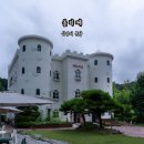 포도나무베이커리 | 성남 분당 카페 올리떼 유럽 감성 베이커리 브런치 카페